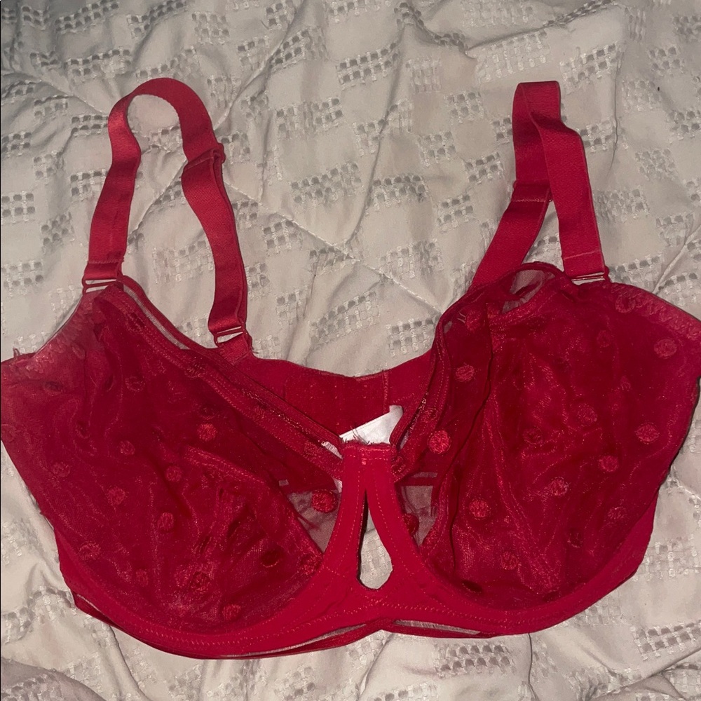 Red Lace Bra